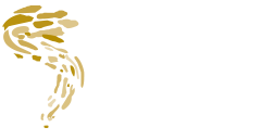 Crespo-Barros-blanco